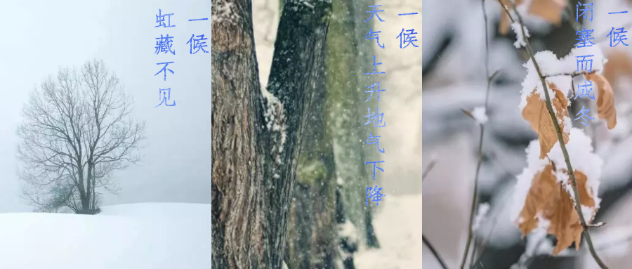 今日小雪，寒潮來襲，洗瓶機來幫你解放雙手吧！